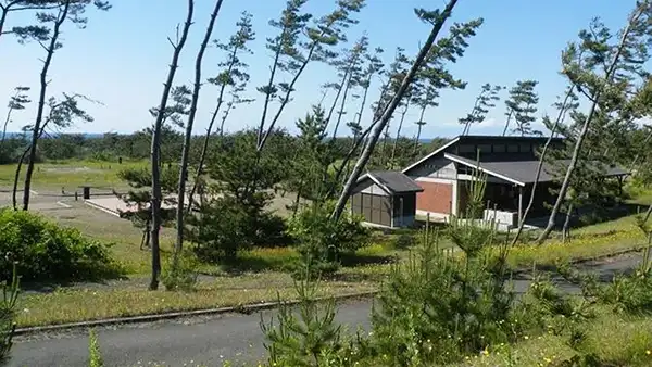宮沢海岸オートキャンプ場キャンパルわかみ