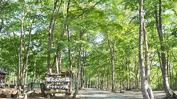 ぽよよんの森オートキャンプ場