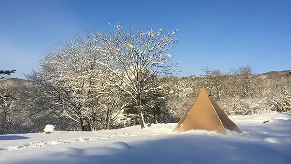 キャンプグランド　ベアーベル