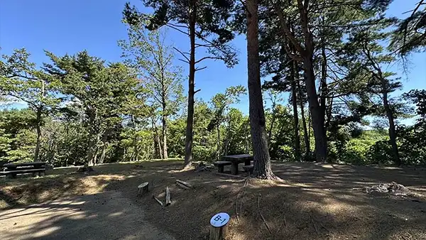 黒崎オートキャンプ場