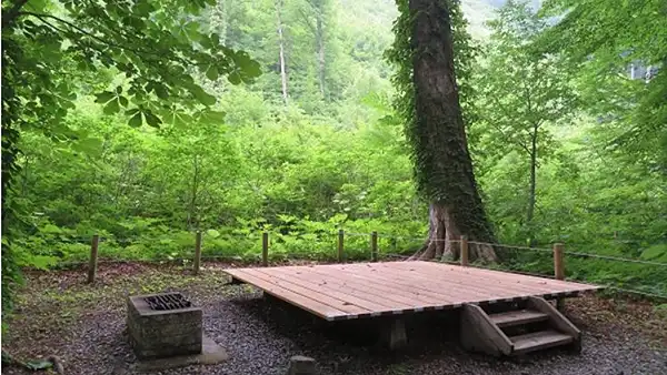 真湯野営場