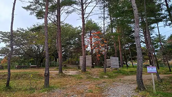 ドロキャン新川