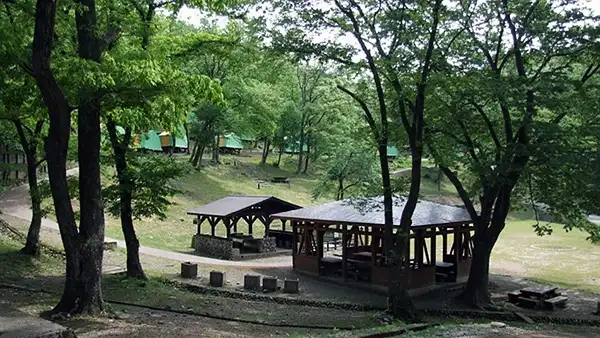 鷹の巣キャンプ場