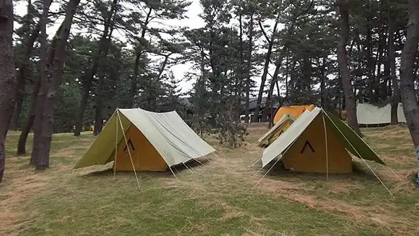 西浜キャンプ場